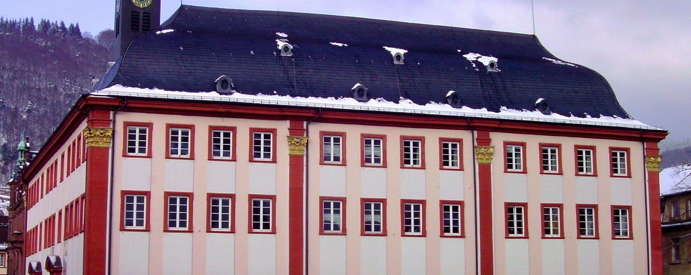 Heidelberg University campus
