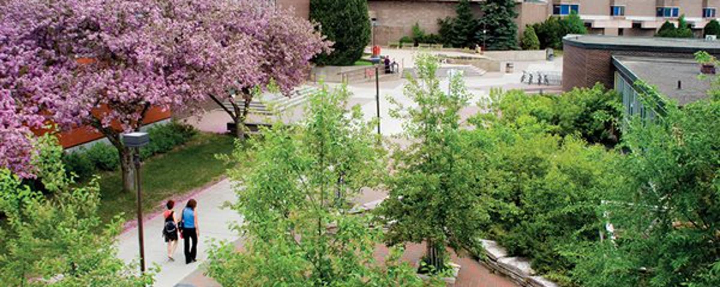 Lakehead University campus