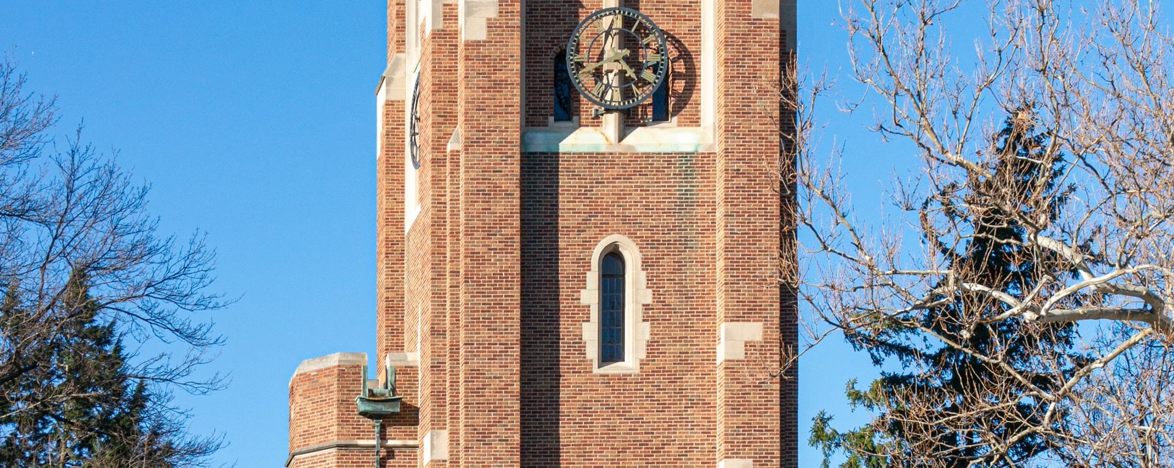 Michigan State University campus