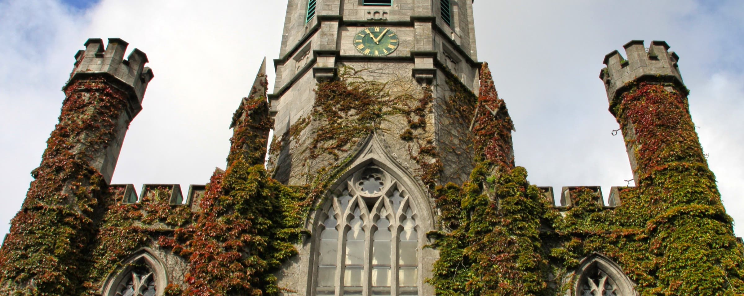 Shannon College of Hotel Management campus