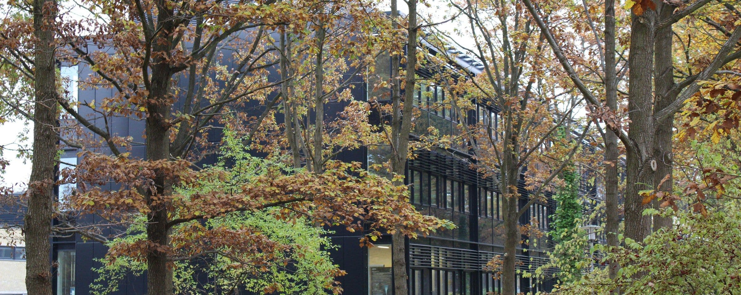 Technical University of Denmark campus