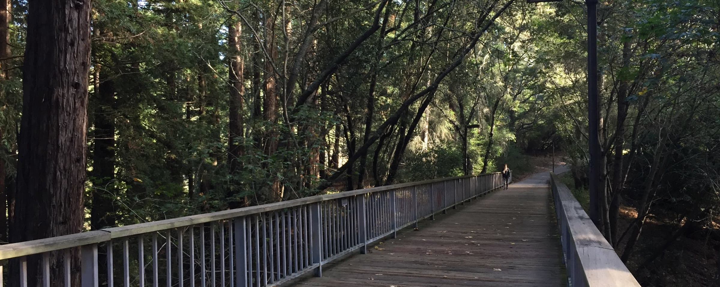UC Santa Cruz campus
