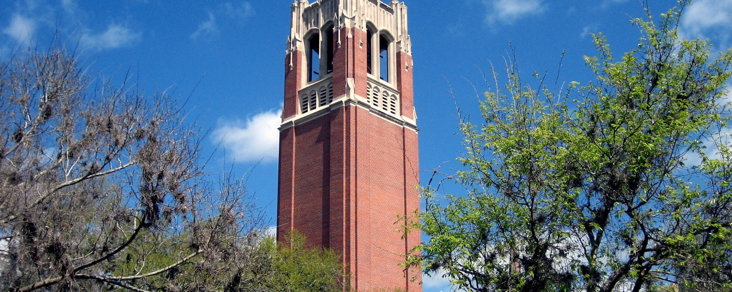 University of Florida campus