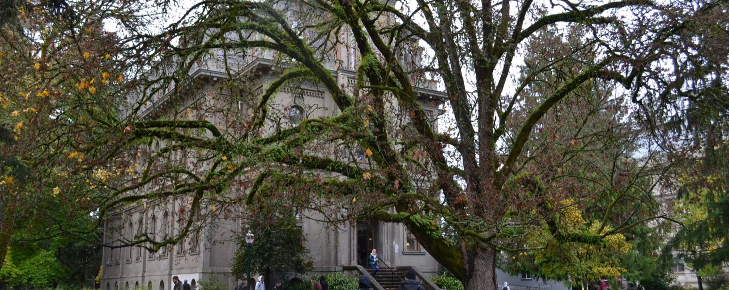University of Oregon campus